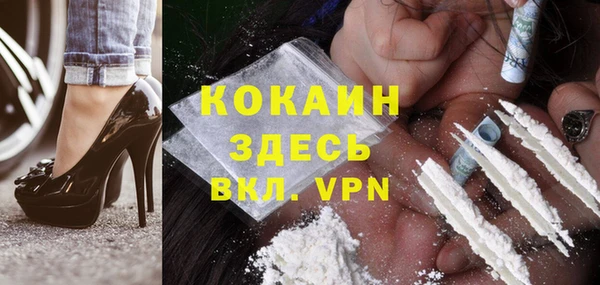 индика Балабаново