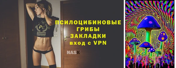 индика Балабаново