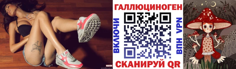 магазин продажи   Глазов  Псилоцибиновые грибы Psilocybe 